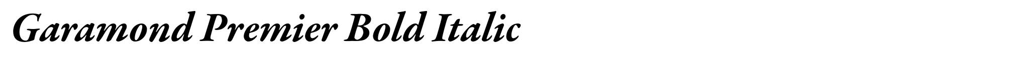 Garamond Premier Bold Italic image